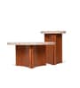 Nell Arch Coffee Table With Beige Panther Marble In Acacia Wood  Finish (Set of 2)