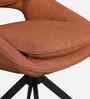 Nerova Dining Chairs In Brown Colour (Set Of 2)