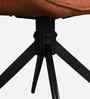 Nerova Dining Chairs In Brown Colour (Set Of 2)