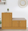 Nervia Shoe Cabinet In Urban Teak Finish