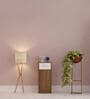 Nest Pedestal in Lyon Teak & White Finish With Drawer