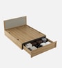 Nester Queen Sized Bed With Front Pull Out Storage In Sebastian Oak & Melamine Finish