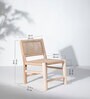 Neura  Petyarn Dining Chair In White Finish