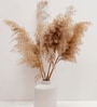 Set Of 10 Brown Metal Neutral Fluffy Pampass Dried Plants