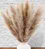 Set Of 10 Brown Metal Neutral Fluffy Pampass Dried Plants