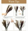 Set Of 10 Brown Metal Neutral Fluffy Pampass Dried Plants