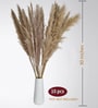 Set Of 10 Brown Metal Neutral Fluffy Pampass Dried Plants