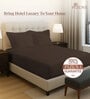 New Dark Brown Solid 400 TC Cotton Queen Sized Fitted sheet with 2 Pillow Covers