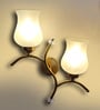 Dual wall mounted gold lamp with Milky Glass