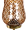 Golden Metal Wall Lamp