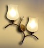 Dual wall mounted gold lamp with Milky Glass