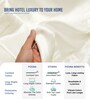New Ivory Solid 1000 TC Cotton Super King Sized Bedsheet with 4 Pillow Covers