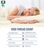 New Ivory Solid 1000 TC Cotton Super King Sized Bedsheet with 4 Pillow Covers
