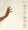New ivory Solid 400 TC Cotton Queen Sized Fitted sheet with 2 Pillow Covers