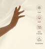 New ivory Solid 400 TC Cotton Single Sized Bedsheet with 1 Pillow Cover