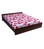 New Super Delux Single Size Coir & Foam Mattress 75x36x5 Inch