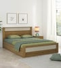 Nexon Queen Size Bed in Classic Oak Melamine Finish With Box Storage