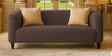 Niki Fabric 2 Seater Sofa In Coffee Brown Color