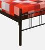 Nimbo Metal King Size Bed in Black Finish