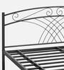 Nimbo Metal Queen Size Bed in Black Finish