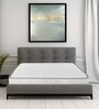 Altus P 6 Inches Single Size (72x36) Pocket Spring & PU Foam Mattress