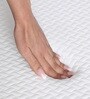 UrbanBed Ninjaback Orthopedic 8 inches HR Foam Single Size Mattress