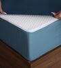 UrbanBed Ninjaback Orthopedic 8 inches HR Foam Single Size Mattress