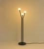 Niora Floor Lamp