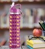 Purple Pyramid 750ml Flip Bot Stainless Steel Rubber Finish Water Bottle with Straw Lid