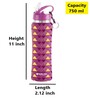 Purple Pyramid 750ml Flip Bot Stainless Steel Rubber Finish Water Bottle with Straw Lid