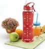 Red 750ml Flip Bot Stainless Steel Rubber Finish Water Bottle with Straw Lid