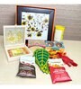 Sustainable Diwali Hamper- 24K Gold Plated Laxmi Ganesh Paduka, Incense Sticks, Havan Cups and Terracotta Diyas