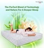 Nirvana HerbFRESH Technology 7 Zone Bamboo Fabric 8 Inch Latex Single Size Mattress