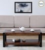 Niva Solid Wood Coffee Table In Walnut Finish
