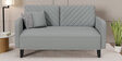 Noble 2 seater sofa in Light Grey  colour