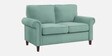 Novel 2 Seater Sofa in Green Colour