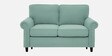 Novel 2 Seater Sofa in Green Colour