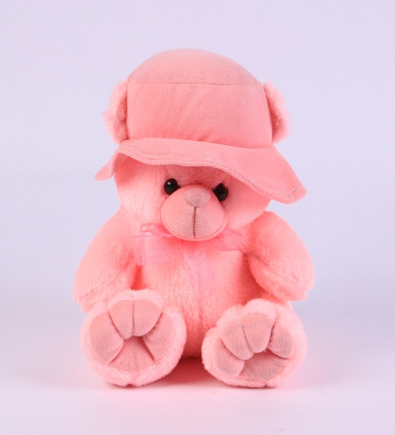 teddy bear flat cap