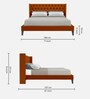 Noa Upholstered Queen Size Bed in Orange Colour