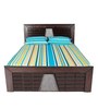 Noble King Size Bed with Storage in Dark Brown Colour