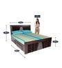 Noble King Size Bed with Storage in Dark Brown Colour