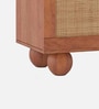 Noble Mango Wood With Cane Door  Open Shelf TV Console In Provincial Teak Finish