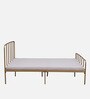 Neolia Metal Queen Size Bed In Gold Colour