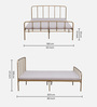 Neolia Metal Queen Size Bed In Gold Colour