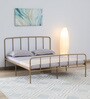 Neolia Metal Queen Size Bed In Gold Colour