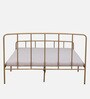 Neolia Metal Queen Size Bed In Gold Colour