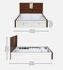 Noir Premier King Size Bed in White Finish with Hydraulic Storage