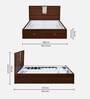 Noir Premier Queen Size Bed in Walnut Finish with Hydraulic Storage
