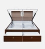 Noir Premier Queen Size Bed in Walnut Finish with Hydraulic Storage