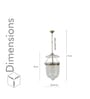 Nolan Ceiling Pendant Light In Transparent Glass & Brass Finish Metal